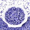 Glass Bugle Beads SEED-N007-28C-2