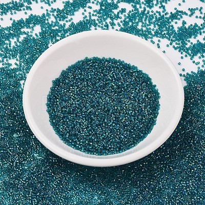 MIYUKI Delica Beads X-SEED-J020-DB1764-1