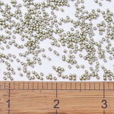 MIYUKI Delica Beads X-SEED-J020-DB1181-1