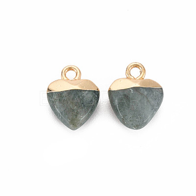 Natural Labradorite Charms G-N326-121-05-1