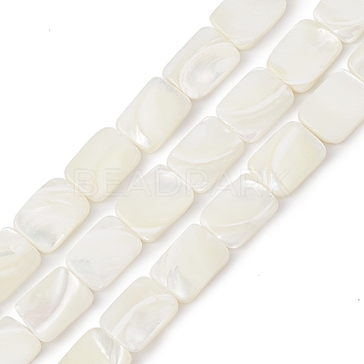 Natural Trochid Shell/Trochus Shell Beads Strands BSHE-G033-01-1