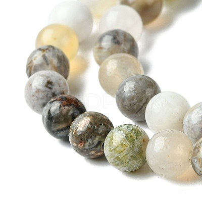 Natural Bamboo Leaf Agate Round Bead Strands G-M248-6mm-04-1