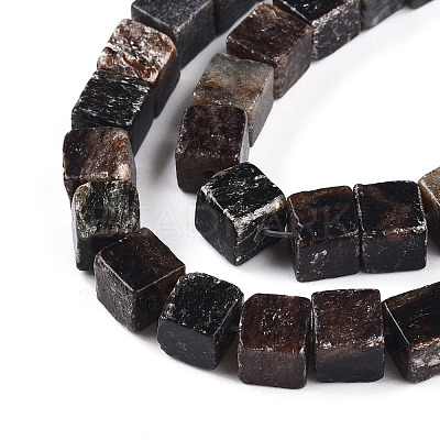 Natural Biotite Beads Strands G-T140-39A-1