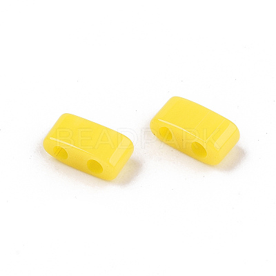 FGB 2-Hole Glass Seed Beads SEED-S031-M-SH42-1