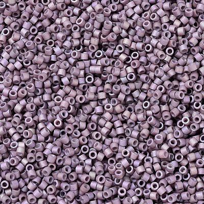 MIYUKI Delica Beads SEED-MY11-DB1064-1