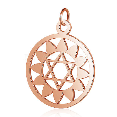 304 Stainless Steel Pendants STAS-S105-T528R-1