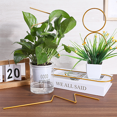 4Pcs 4 Styles Iron Flower Plant Supports FIND-CN0001-62B-1