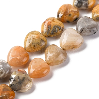 Natural Crazy Agate Beads Strands G-I372-A08-01-1
