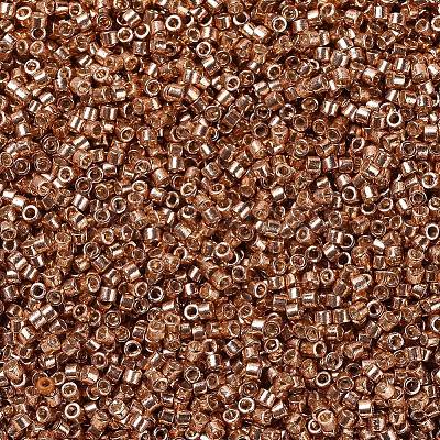 MIYUKI Delica Beads X-SEED-J020-DB1836-1