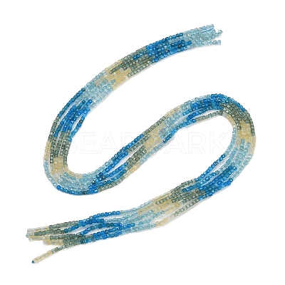 Natural Blue Green Yellow Apatite Beads Strands G-NH0050-B01-01-1