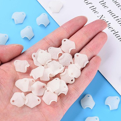 Transparent Acrylic Beads X-MACR-S373-106-D07-1