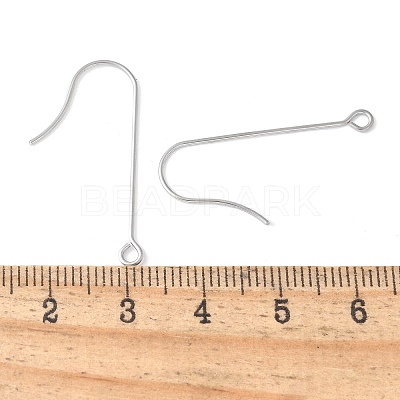 316 Surgical Stainless Steel Earring Hooks STAS-Z124-02B-P-1