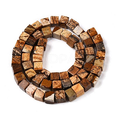 Natural Picture Jasper Beads Strands G-T139-6x6-27A-1