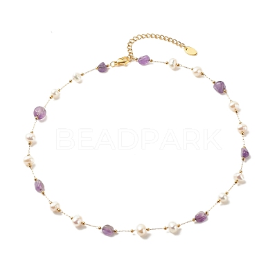 Natural Amethyst & Pearl Beaded Necklace NJEW-JN03894-03-1