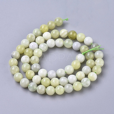 Natural Sinkiang Jade Beads Strands X-G-L538-036-6mm-1