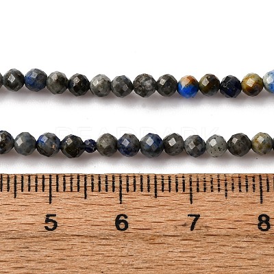 Natural Lapis Lazuli Beads Strands LS-G-L629-B01-3mm-03-1