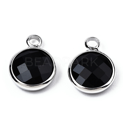 K9 Glass Charms GLAA-N038-22-02P-1