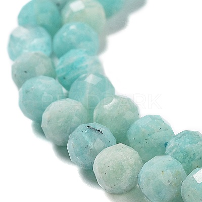 Natural Amazonite Beads Strands G-J400-E11-04-1