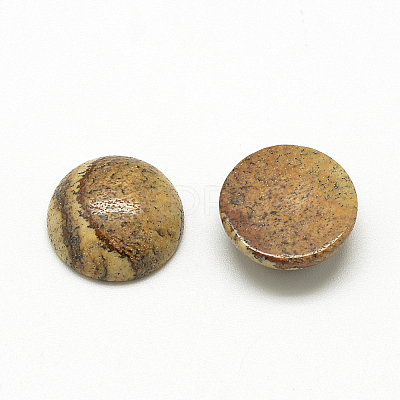 Natural Picture Jasper Cabochons X-G-R416-16mm-42-1