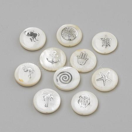 Natural Freshwater Shell Beads SHEL-Q011-P-1