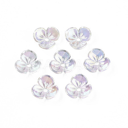 Transparent Acrylic Bead Caps TACR-Q273-04-1
