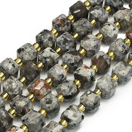 Natural Syenite Beads Strand G-I376-D17-01-1