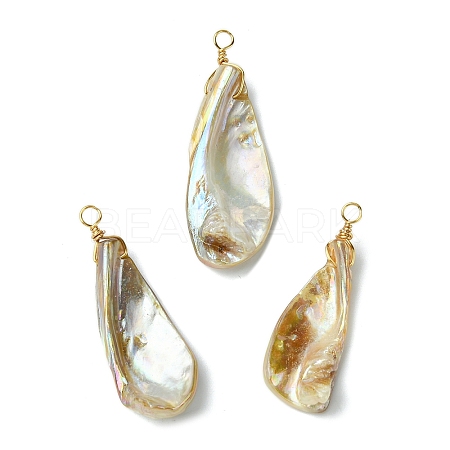 Electroplated Natural Freshwater Shell Pendants PALLOY-JF03336-1