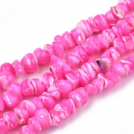 Natural Freshwater Shell Beads Strands SHEL-N003-23-B05-1
