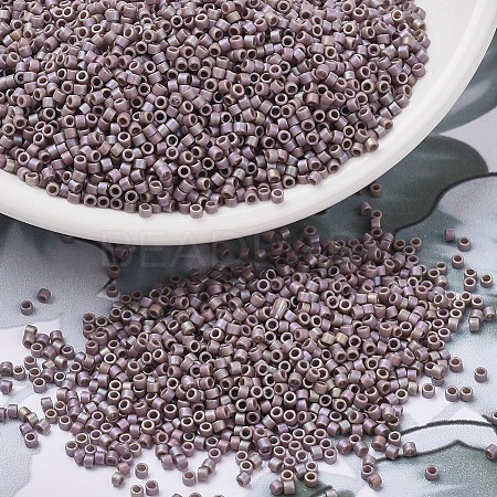 MIYUKI Delica Beads X-SEED-J020-DB2321-1