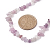 Natural Lepidolite/Purple Mica Stone Chip Beaded Necklace NJEW-JN04616-04-3