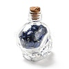 Mixed Gemstones Chips in Skull Glass Bottle Display Decorations DJEW-G039-02-3