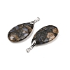 Natural Labradorite Pendants G-D084-01P-B07-5