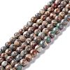 Natural Aqua Terra Jasper Beads Strands G-K317-A02-1