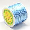 Nylon Satin Rattail Cords NWIR-R025-1.0mm-365-2