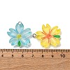 Transparent Resin Pendants RESI-A046-05H-4