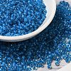 8/0 Transparent Glass Seed Beads SEED-F003-03B-02-1