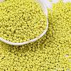 8/0 Baking Paint Glass Seed Beads X1-SEED-M012-02A-48-1