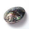 Oval Natural Paua Shell Beads SSHEL-E562-01-3