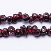 Natural Garnet Beads Strands X-G-D411-01-2