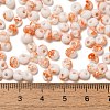 Baking Paint Glass Seed Beads X1-SEED-F006-01A-10-4