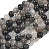 Natural Tourmalinated Quartz/Black Rutilated Quartz Beads Strands G-D361-01A-10mm-2
