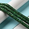 Natural Dolomite Beads Strands G-K350-B01-03C-2