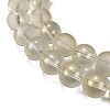 Frosted Transparent Glass Bead Strands GLAA-P065-10mm-01-4
