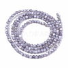 Natural Freshwater Shell Beads Strands BSHE-T009-01-3