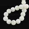 Handmade Lampwork Beads LAMP-R111-10-2