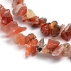 Natural Carnelian Beads Strands X-G-P332-04-2