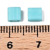 2-Hole Baking Paint Glass Seed Beads SEED-S023-17C-05-4