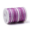 Segment Dyed Polyester Thread NWIR-I013-A-08-2