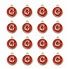 Golden Plated Alloy Enamel Charms ENAM-S118-03G-2