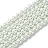 Eco-Friendly  Dyed Glass Pearl Round Beads Strands HY-A002-8mm-RB001-1